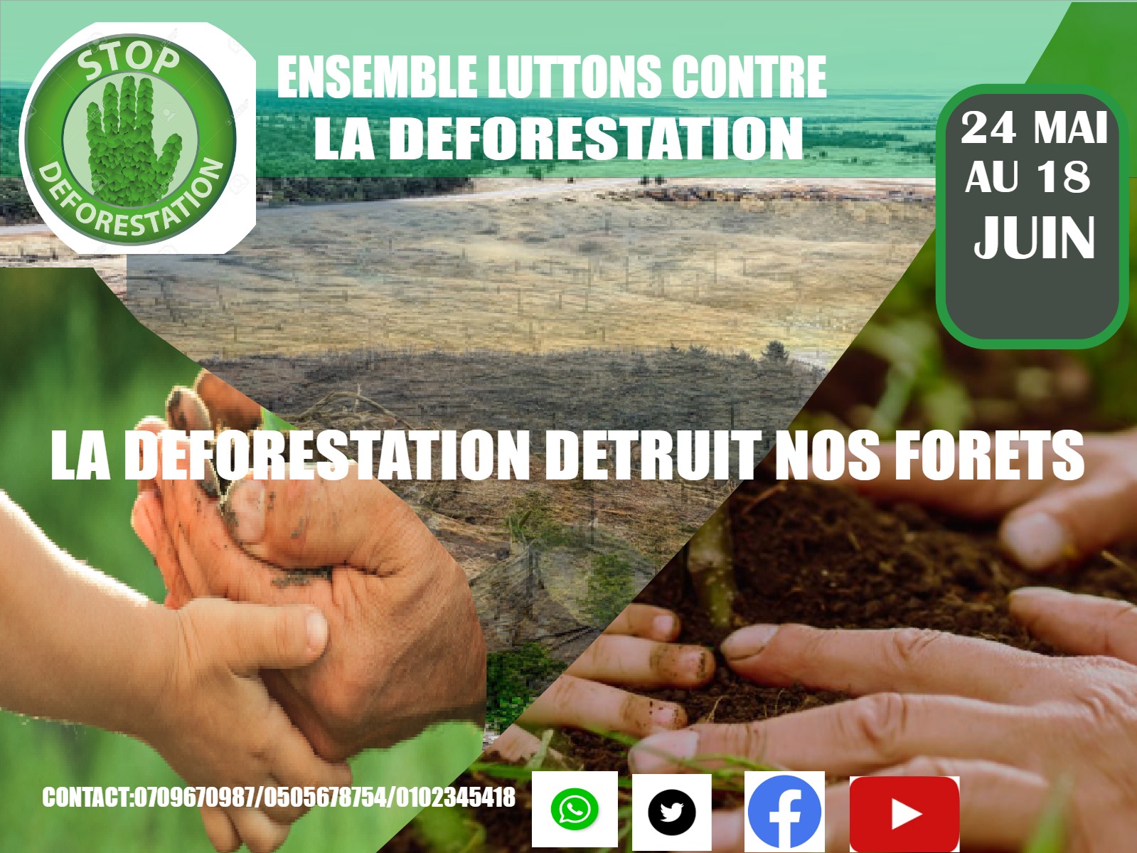 Aperçu de Stop Déforestation — Campagne de sensibilisation